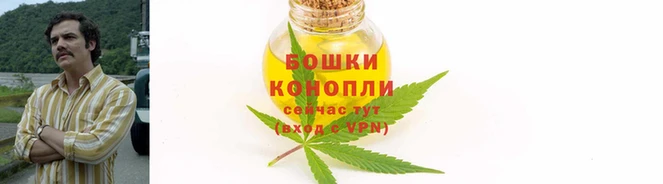 прущий лед Горно-Алтайск