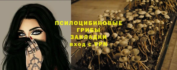 МДПВ Горняк